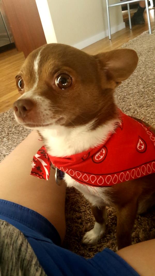 /Images/uploads/Humane Society of Utah/HSUCalendar/entries/940thumb.jpg